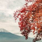 富士山と紅葉